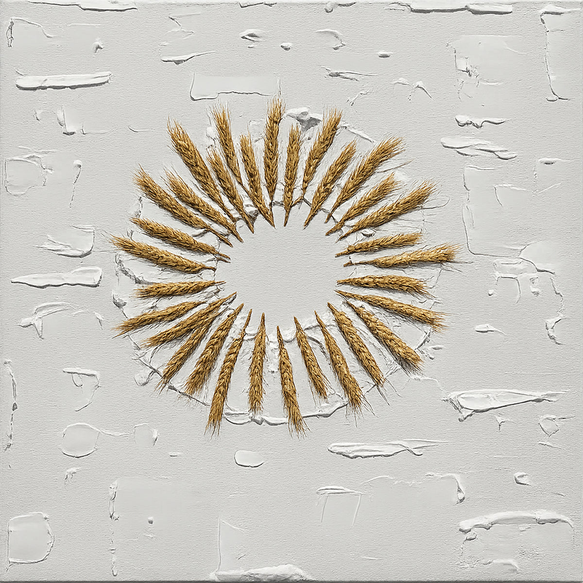 Circle of the Sun