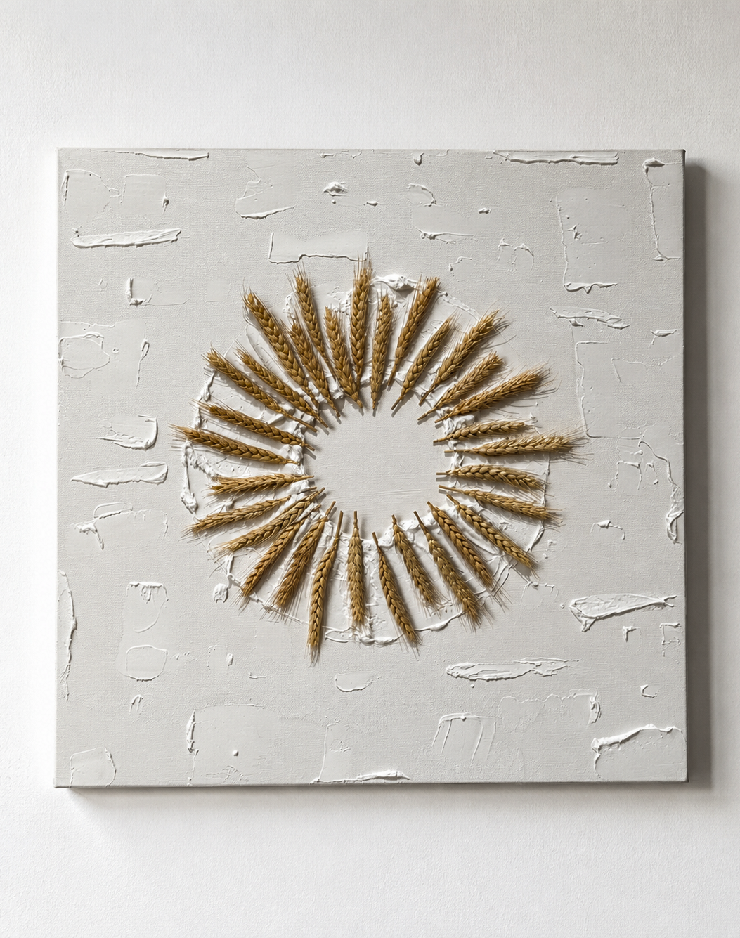Circle of the Sun